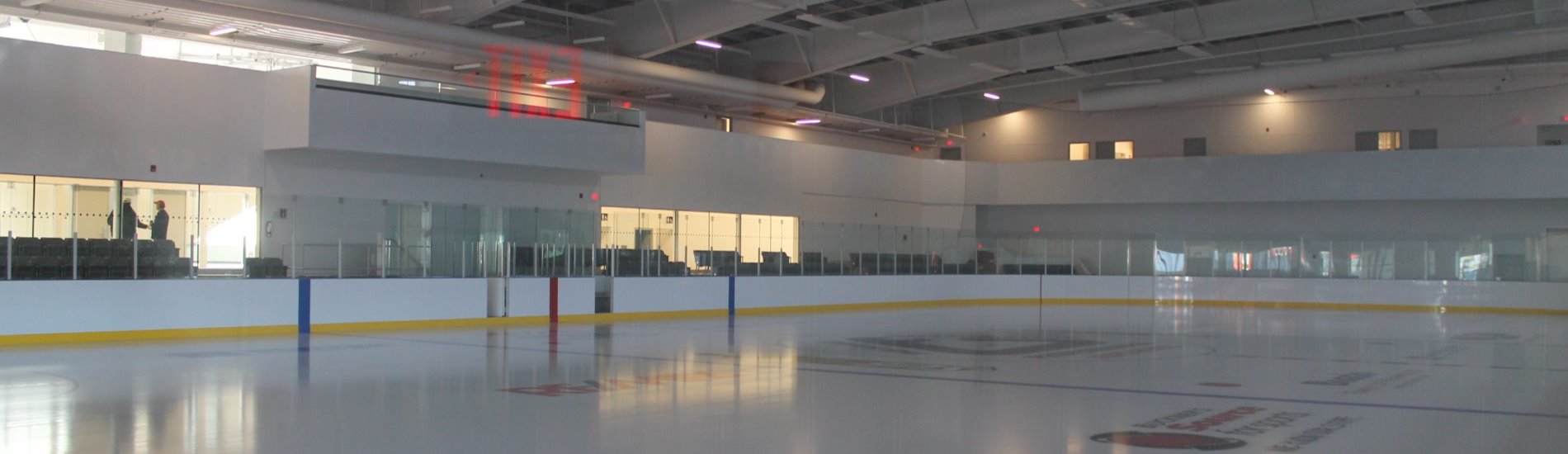 Image of Vale ice rink